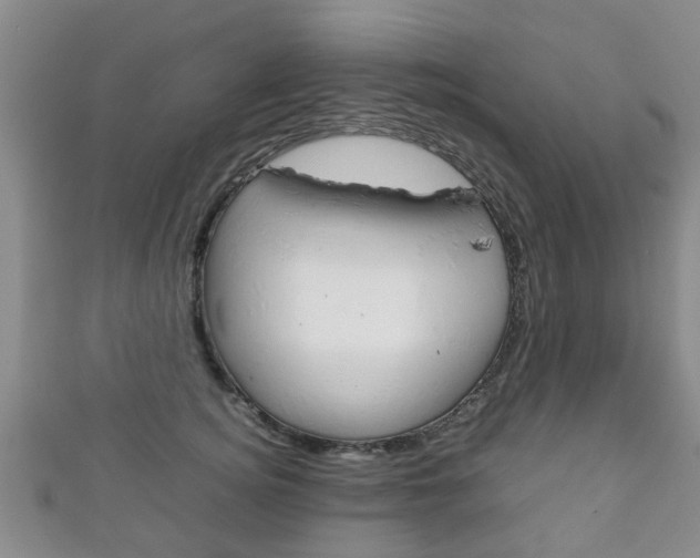 X0000111920756200907271009