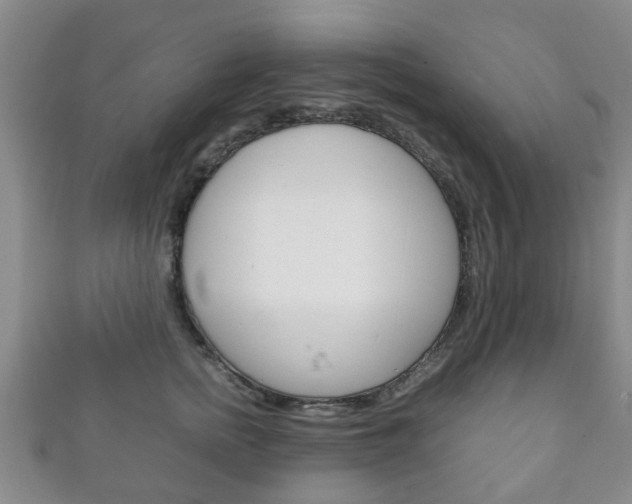 X0000111920758200907271009