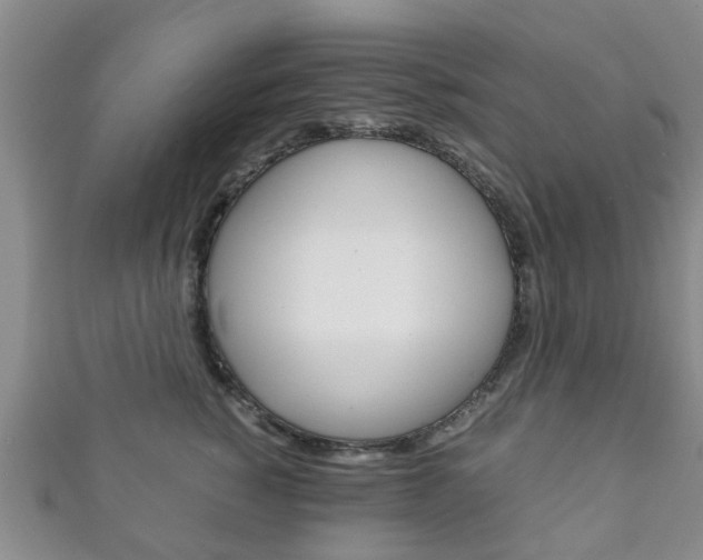 X0000111920760200907271009