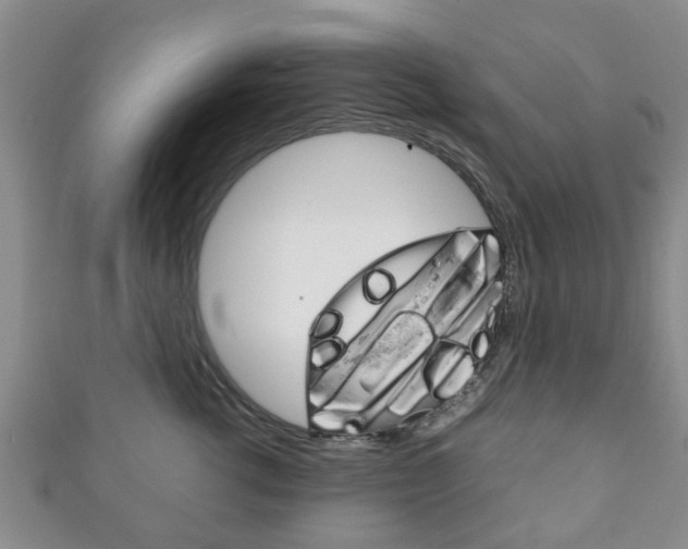 X0000111920762200907271009