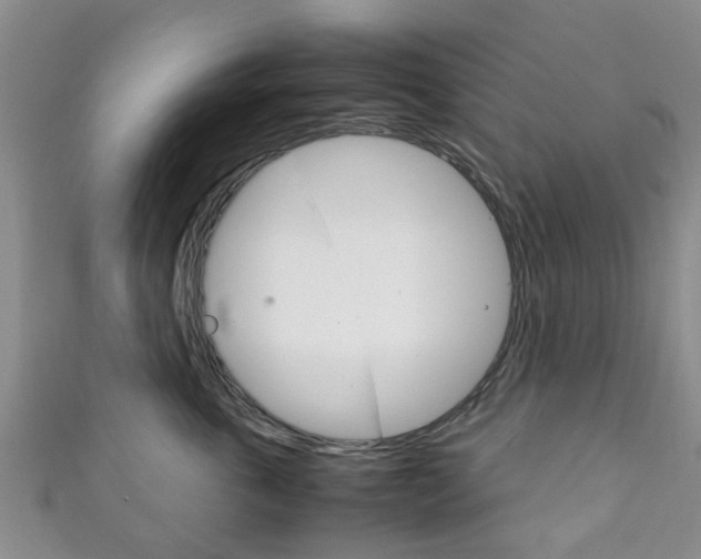 X0000111920763200907271009