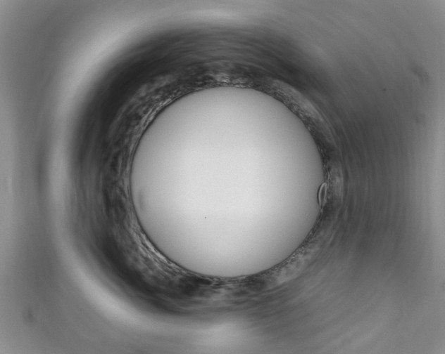 X0000111920764200907271009