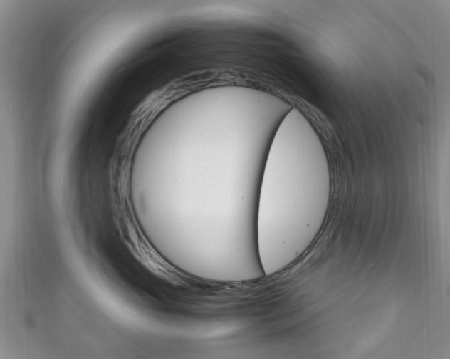 X0000111920765200907271009