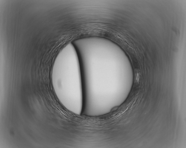 X0000111920771200907271008