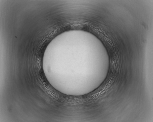 X0000111920772200907271008
