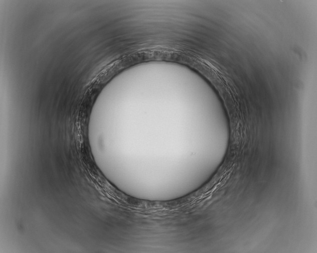 X0000111920774200907271008