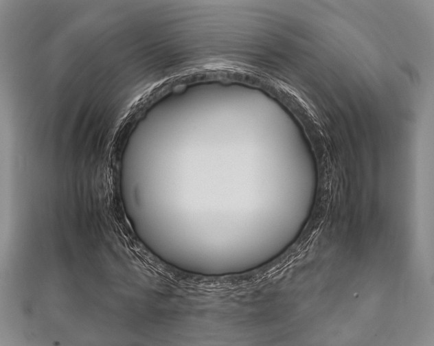 X0000111920776200907271008