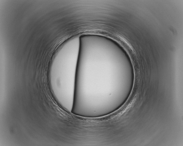 X0000111920777200907271008