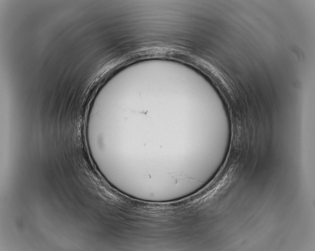 X0000111920778200907271008