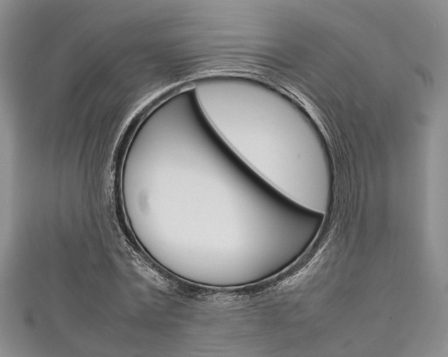 X0000111920779200907271008