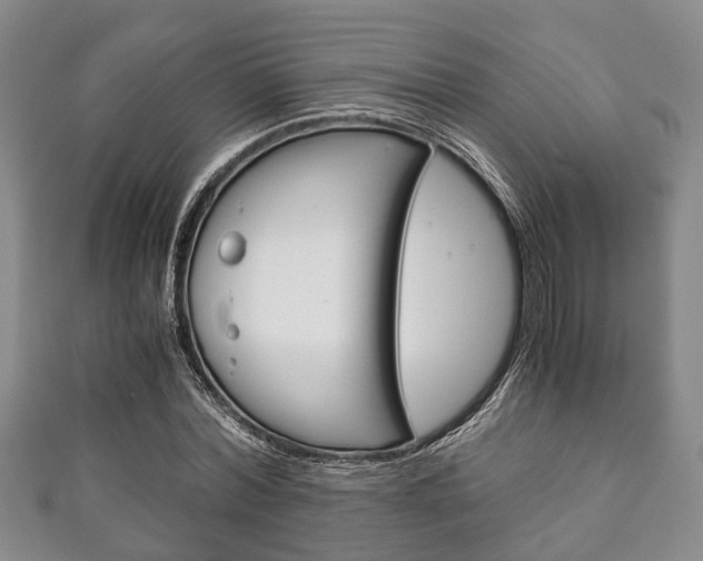 X0000111920780200907271008