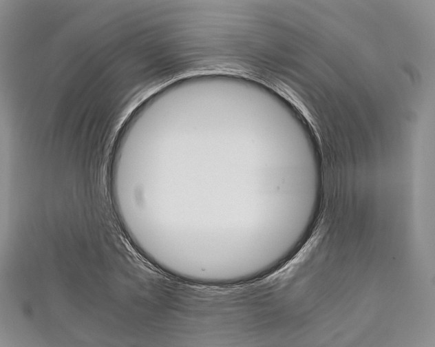 X0000111920781200907271008