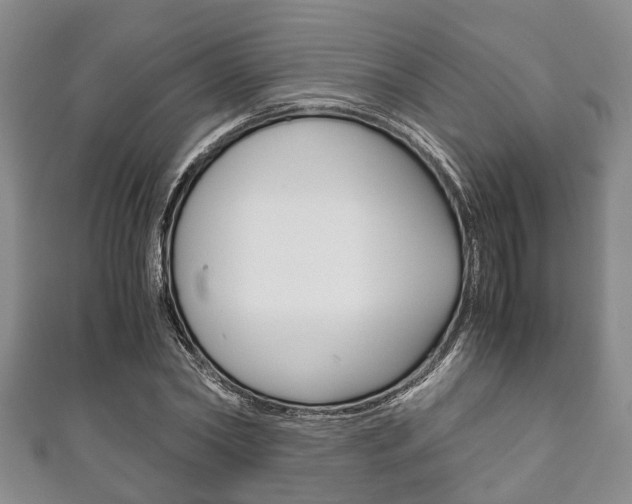 X0000111920782200907271008