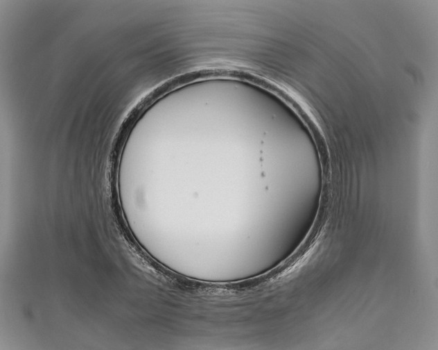 X0000111920783200907271008