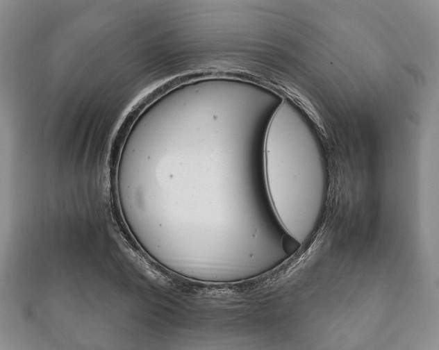 X0000111920784200907271008