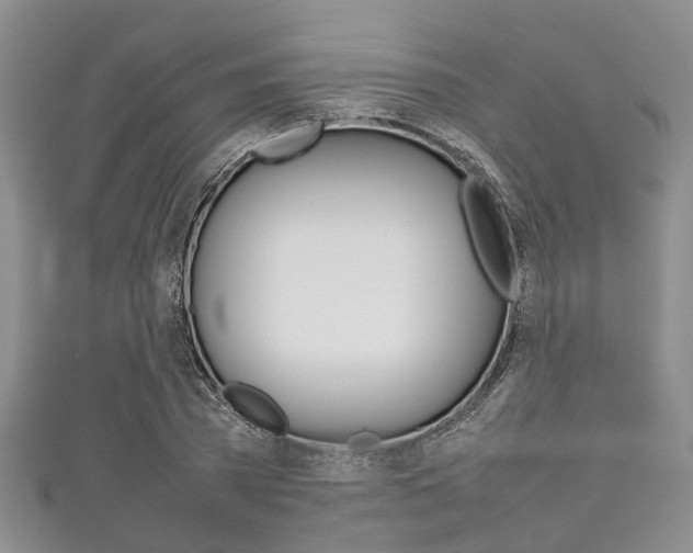 X0000111920785200907271008
