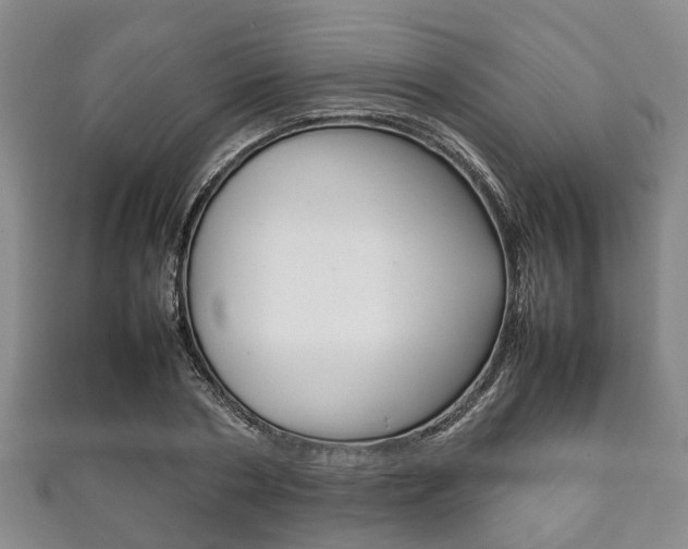 X0000111920786200907271008
