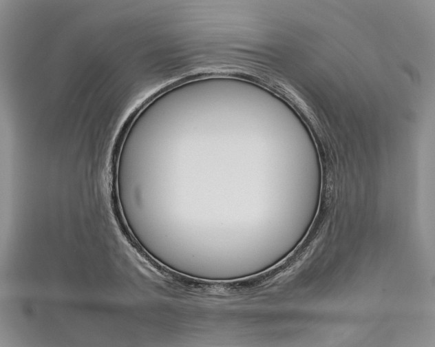 X0000111920787200907271008