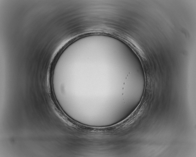 X0000111920788200907271008