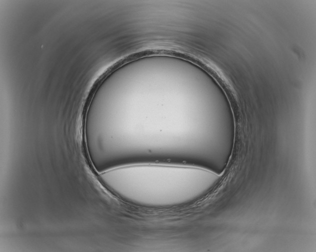 X0000111920791200907271008