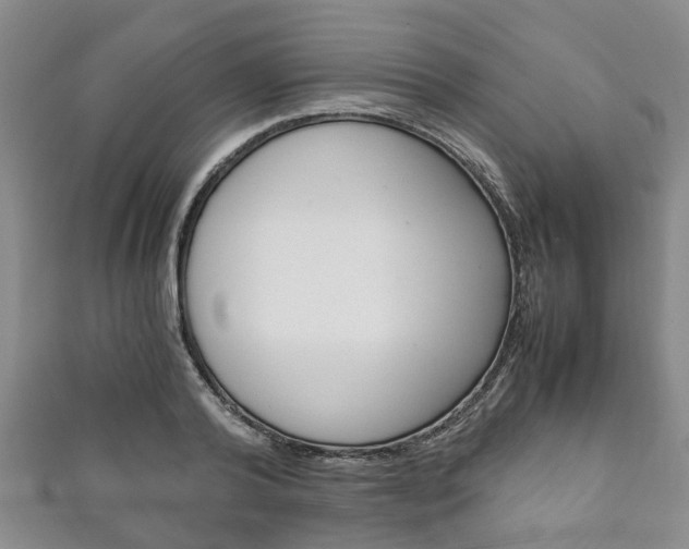 X0000111920792200907271008