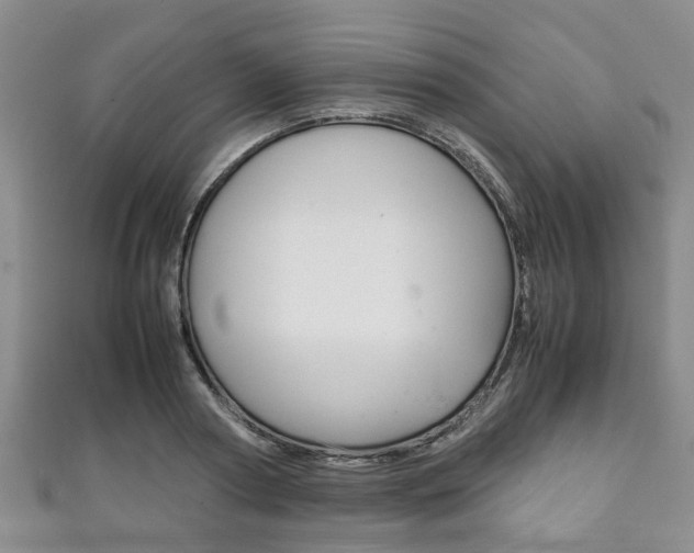 X0000111920794200907271008
