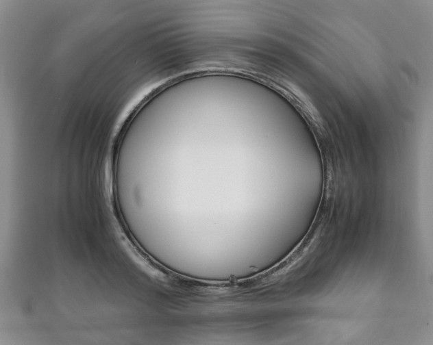 X0000111920796200907271008
