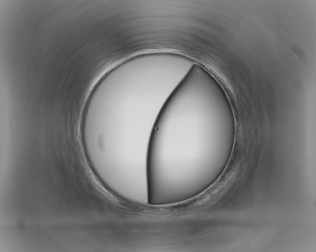 X0000111920797200907271008