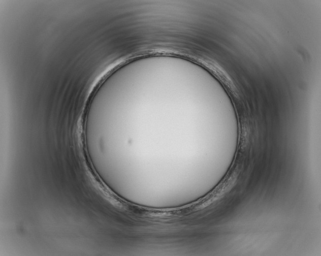 X0000111920798200907271008