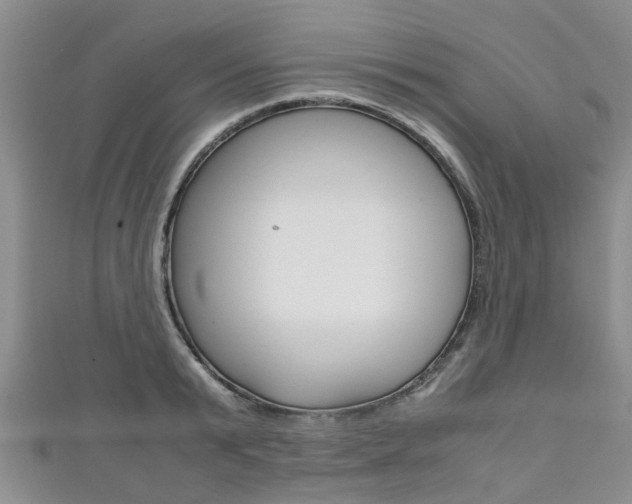 X0000111920799200907271008