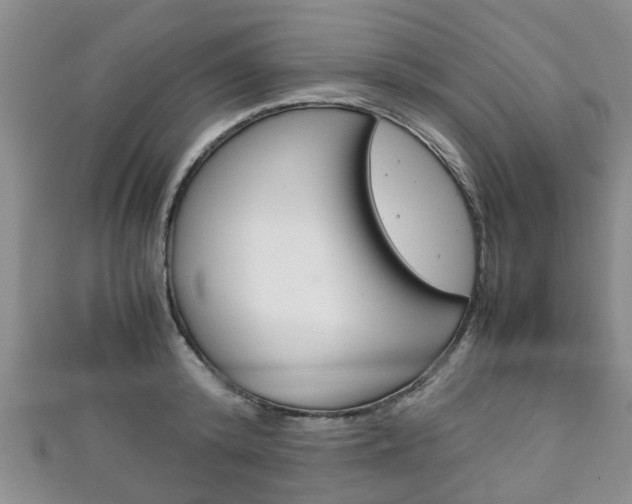 X0000111920800200907271008
