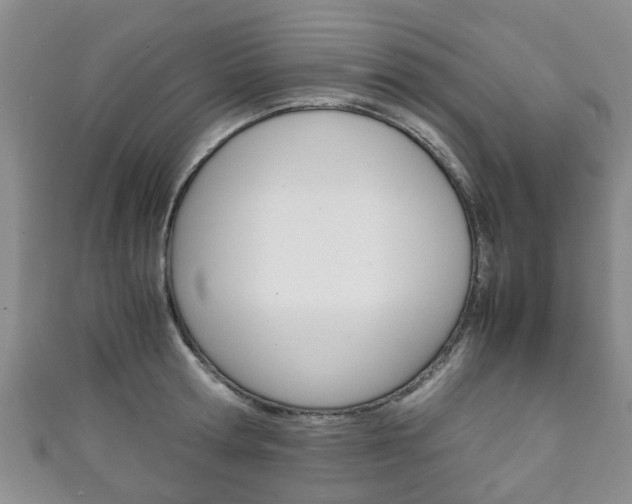 X0000111920802200907271008