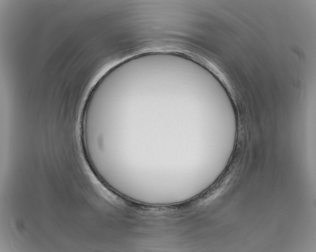 X0000111920803200907271008