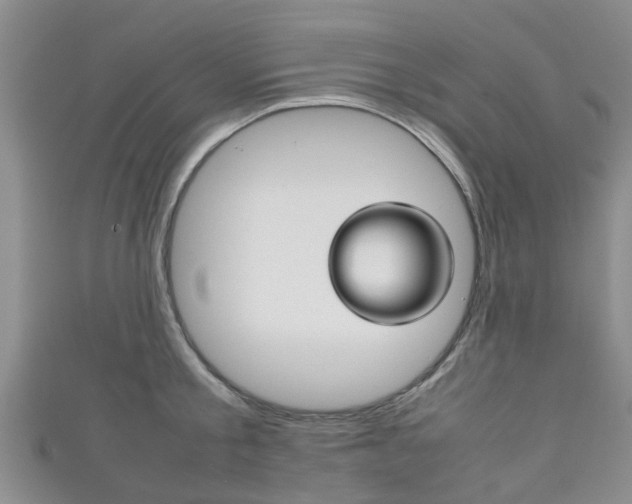 X0000111920805200907271008