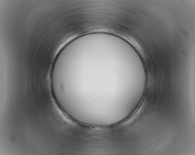 X0000111920806200907271008
