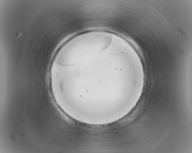 X0000111920807200907271008