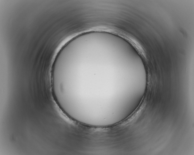 X0000111920808200907271008