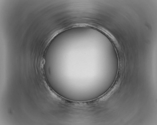 X0000111920809200907271008