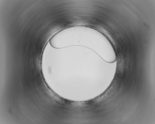 X0000111920810200907271008