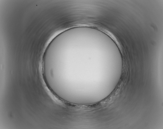 X0000111920811200907271008
