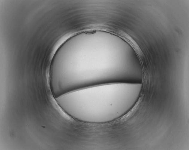 X0000111920812200907271008