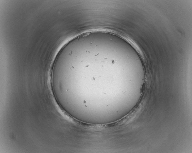 X0000111920813200907271008