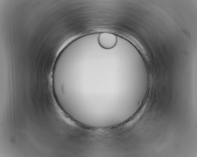 X0000111920814200907271008
