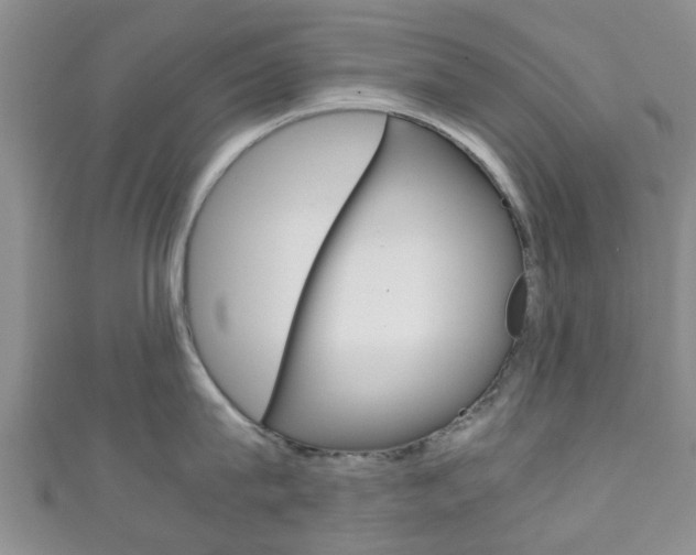 X0000111920815200907271008