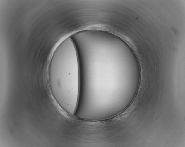 X0000111920816200907271008