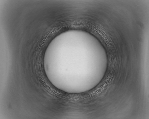 X0000111920817200907271007