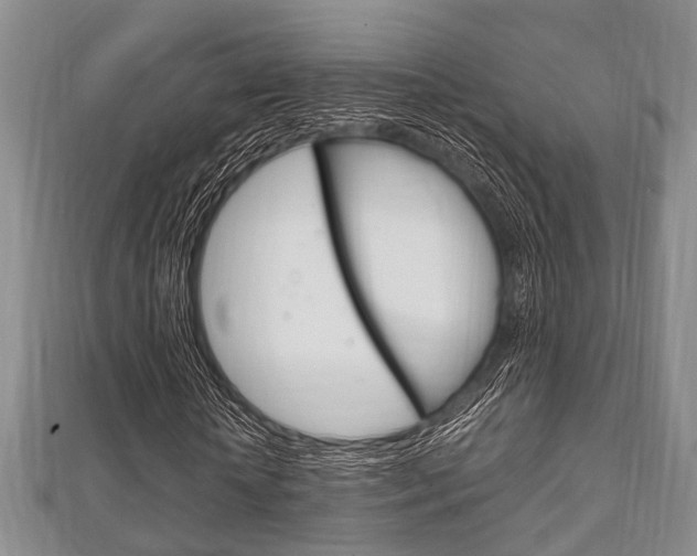X0000111920818200907271007