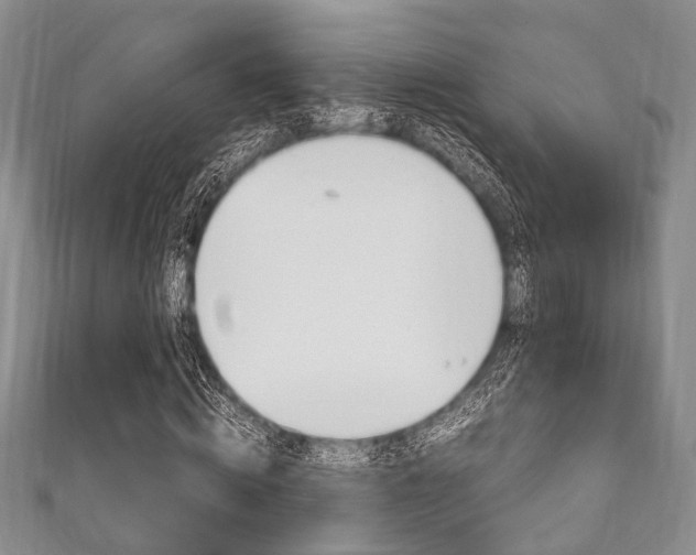 X0000111920820200907271007