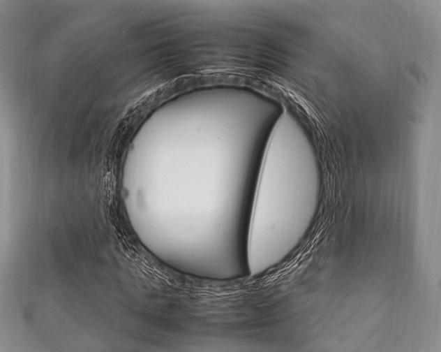 X0000111920821200907271007