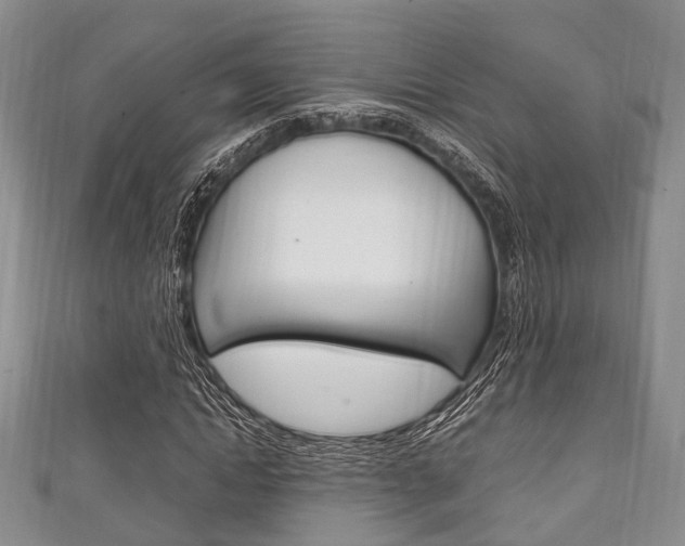 X0000111920822200907271007